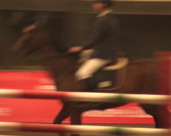 Hallenreitturnier Ovenstädt 2016