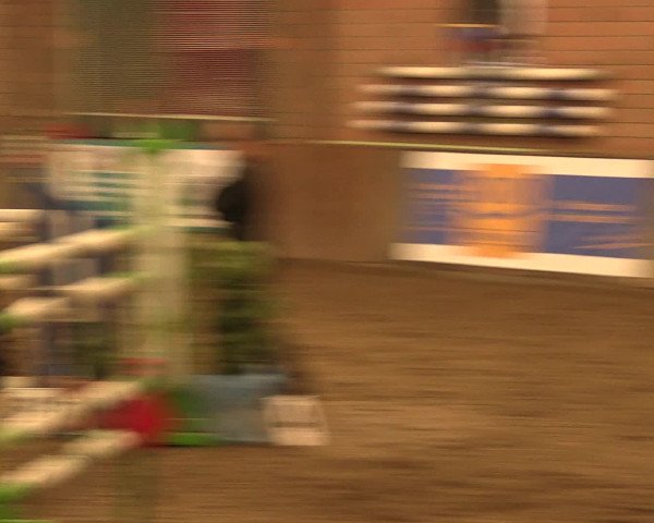 Hallenreitturnier Ovenstädt 2016