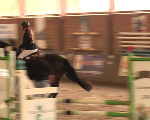 Hallenreitturnier Ovenstädt 2016