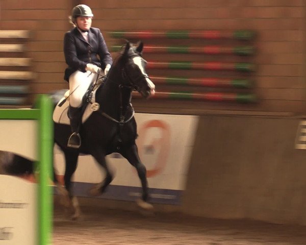 Hallenreitturnier Ovenstädt 2016