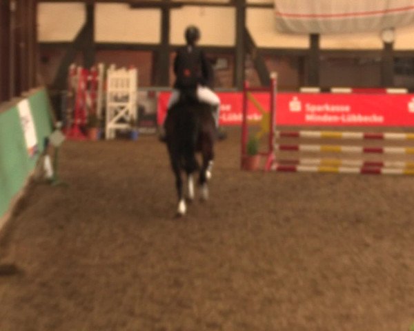 Hallenreitturnier Ovenstädt 2016