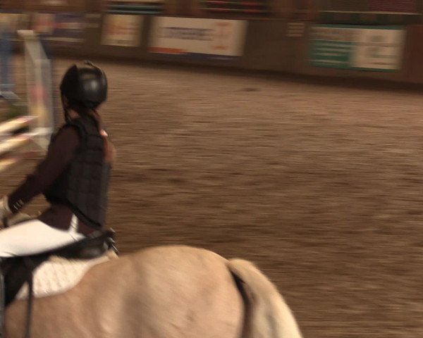 Hallenreitturnier Ovenstädt 2016