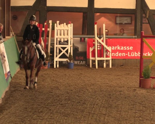 Hallenreitturnier Ovenstädt 2016