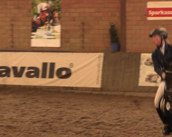 Hallenreitturnier Ovenstädt 2016