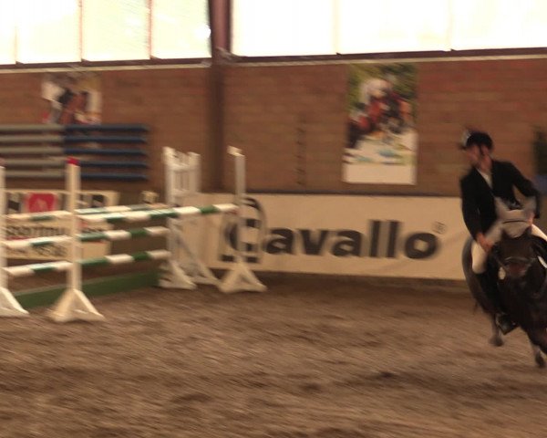 Hallenreitturnier Ovenstädt 2016