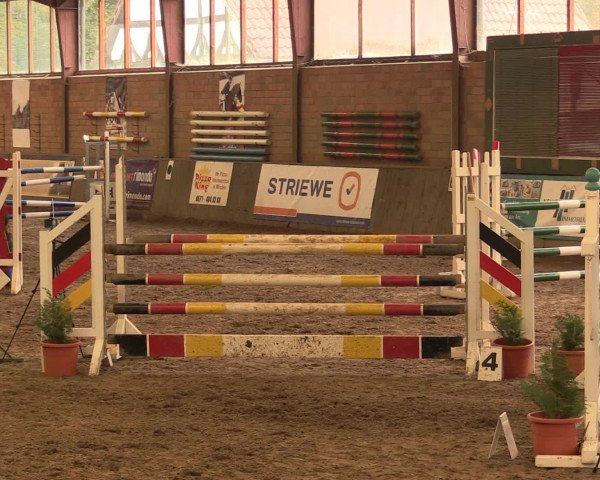 Hallenreitturnier Ovenstädt 2016