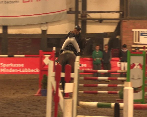 Hallenreitturnier Ovenstädt 2016