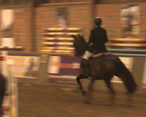 Hallenreitturnier Ovenstädt 2016