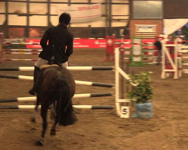 Hallenreitturnier Ovenstädt 2016