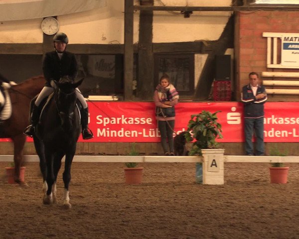 Hallenreitturnier Ovenstädt 2016