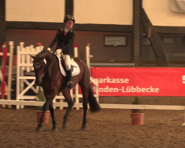 Hallenreitturnier Ovenstädt 2016