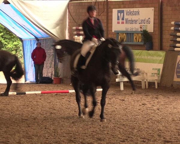Hallenreitturnier Ovenstädt 2016