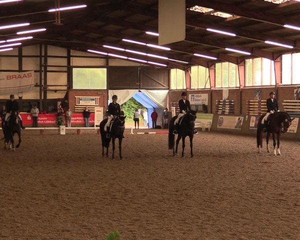 Hallenreitturnier Ovenstädt 2016