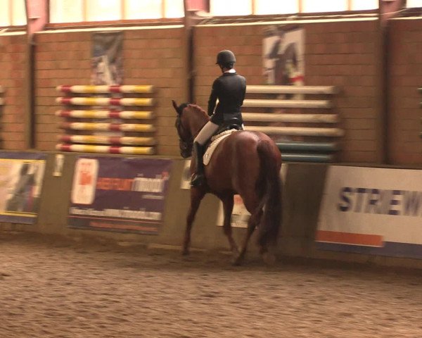 Hallenreitturnier Ovenstädt 2016