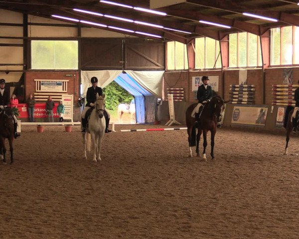 Hallenreitturnier Ovenstädt 2016