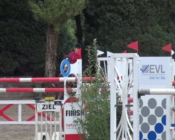Reitturnier Leverkusen-Teitscheider Hof 2016