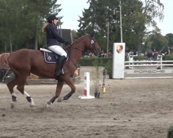 Reitturnier Leverkusen-Teitscheider Hof 2016