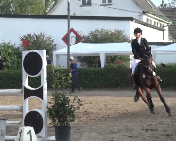 Reitturnier Leverkusen-Teitscheider Hof 2016