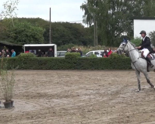 Reitturnier Leverkusen-Teitscheider Hof 2016