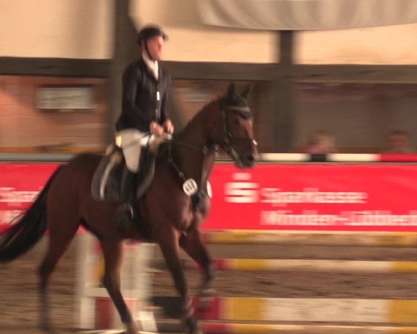 Hallenreitturnier Ovenstädt 2016