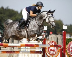 jumper Scarlett 665 (Hanoverian, 2010, from Satisfaction FRH)