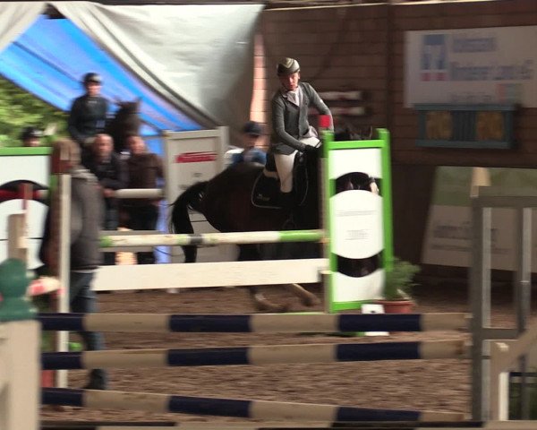 Hallenreitturnier Ovenstädt 2016