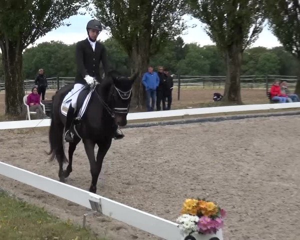 Reitturnier Leverkusen-Teitscheider Hof 2016