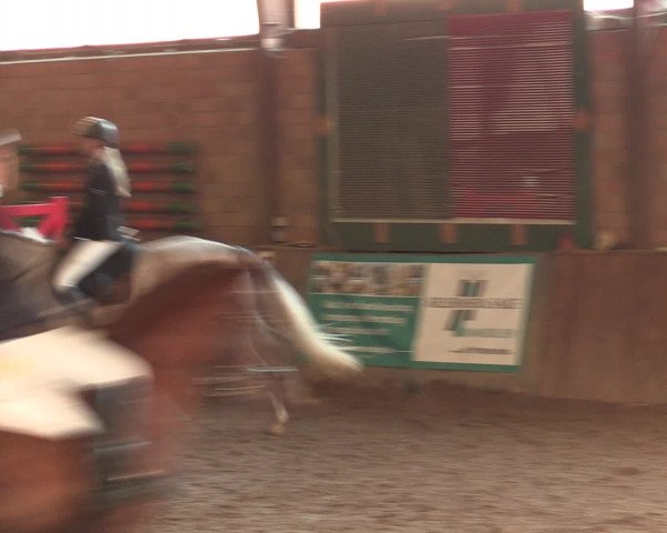 Hallenreitturnier Ovenstädt 2016
