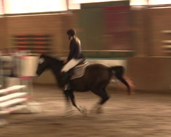 Hallenreitturnier Ovenstädt 2016