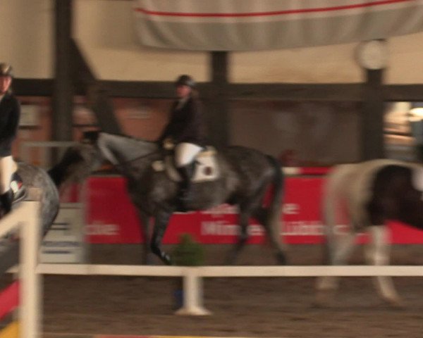 Hallenreitturnier Ovenstädt 2016
