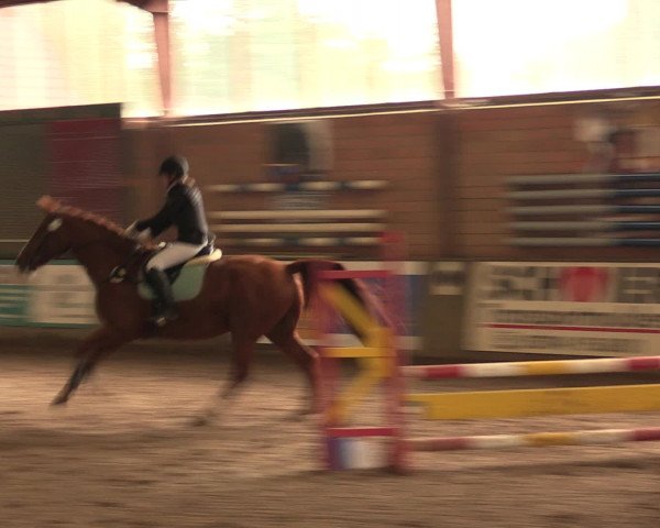 Hallenreitturnier Ovenstädt 2016
