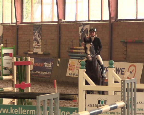 Hallenreitturnier Ovenstädt 2016
