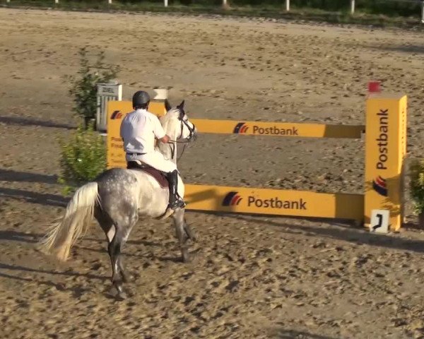 Reitturnier Köln-Leverkusen 2016
