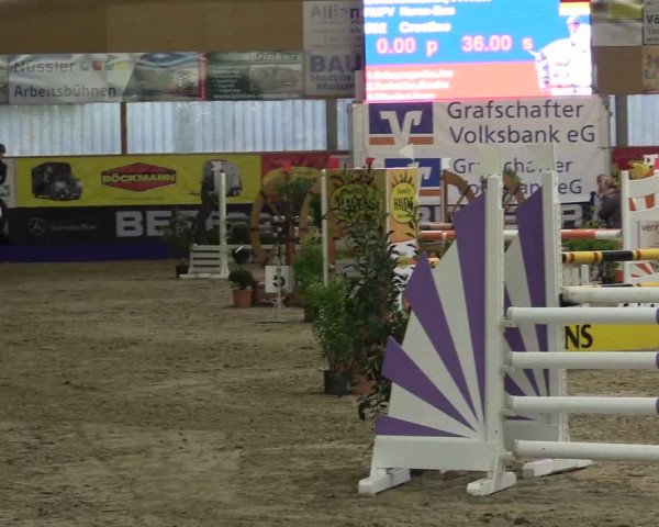 Springturnier Isterberg 2016
