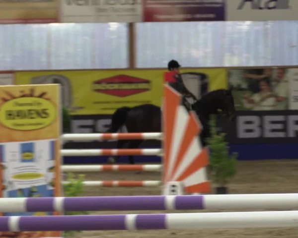 Springturnier Isterberg 2016
