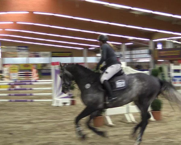 Springturnier Isterberg 2016
