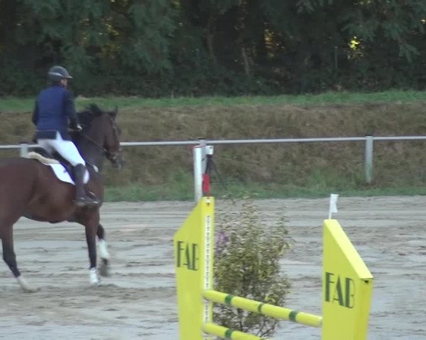 Reitturnier Köln-Leverkusen 2016