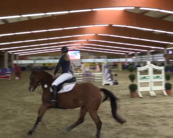 Springturnier Isterberg 2016
