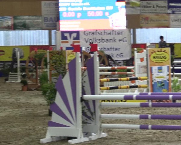 Springturnier Isterberg 2016
