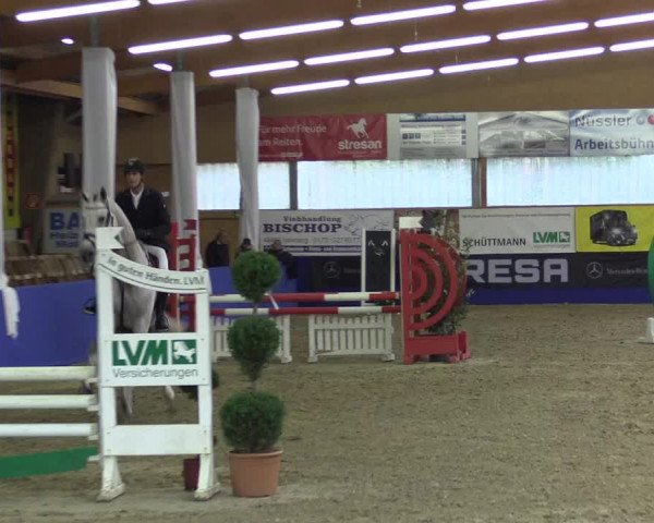 Springturnier Isterberg 2016