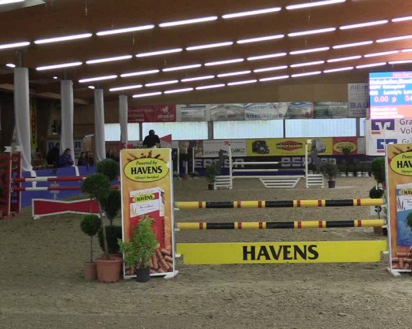 Springturnier Isterberg 2016