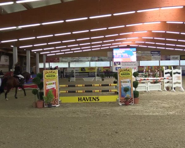 Springturnier Isterberg 2016