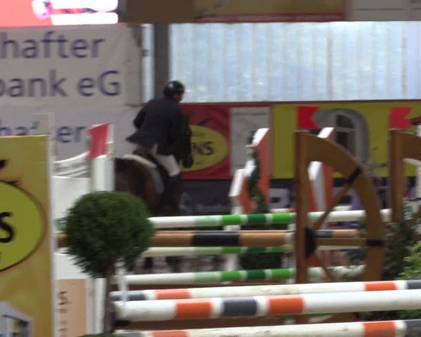Springturnier Isterberg 2016
