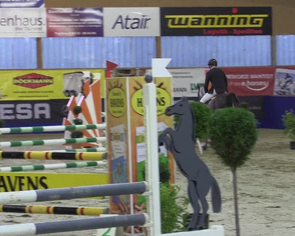 Springturnier Isterberg 2016