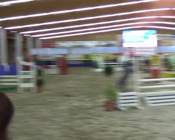 Springturnier Isterberg 2016
