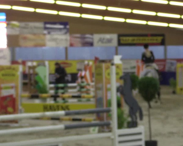Springturnier Isterberg 2016