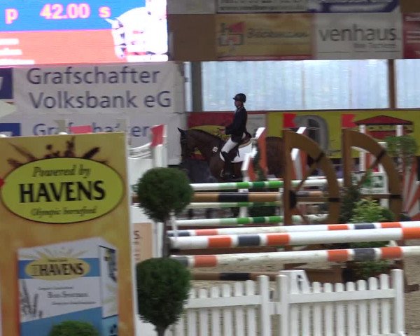 Springturnier Isterberg 2016