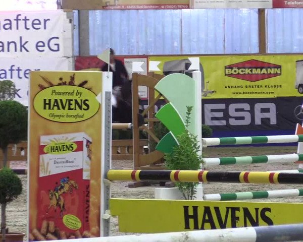 Springturnier Isterberg 2016