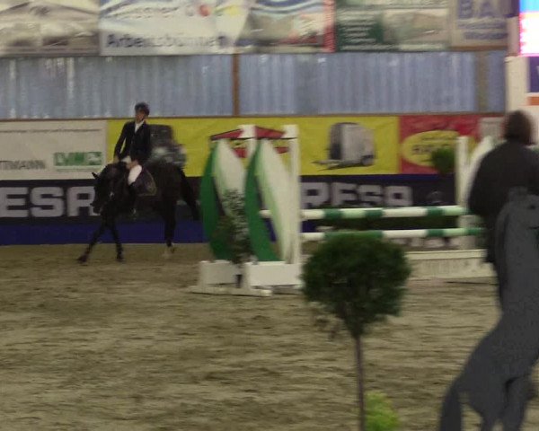 Springturnier Isterberg 2016