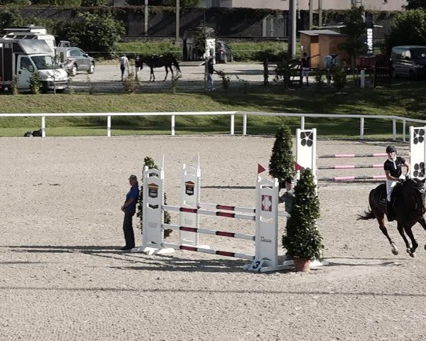 Pferdesporttage Bülach 2021